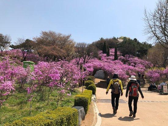 Bucheon