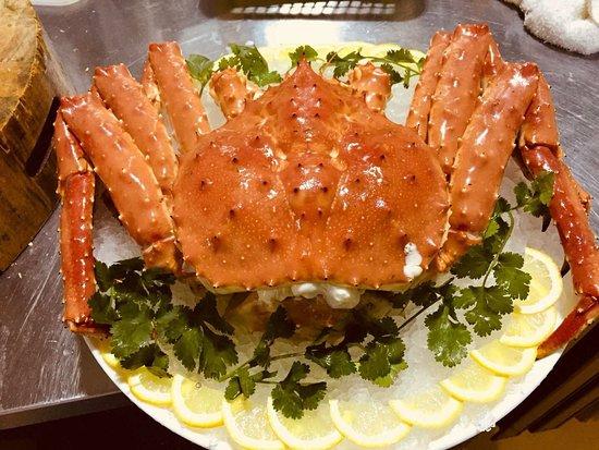 Live Seafood Limited