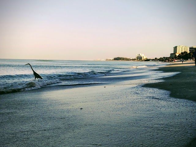 South Lido County Park