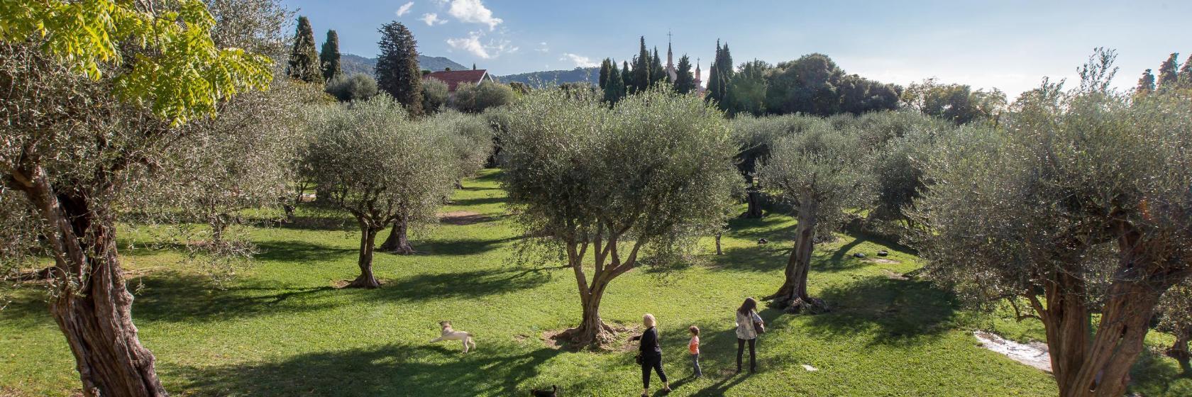 Monastere de Cimiez