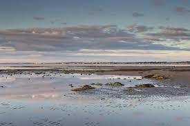 Ayr Beach