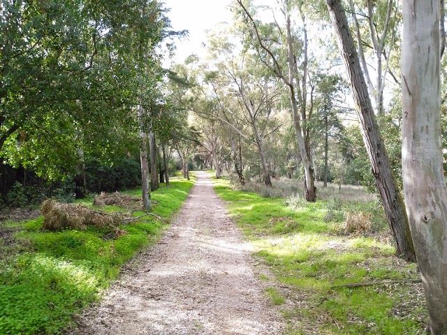Parque Florestal de Monsanto