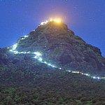 Restaurant Grand Indians Kitchen