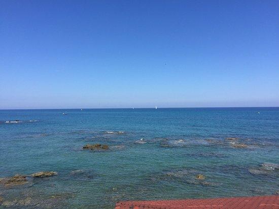 Bagheera Multi Cuisine Restaurant