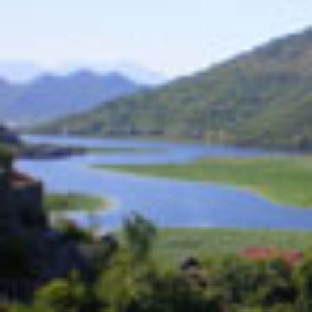 Cuu Van Long