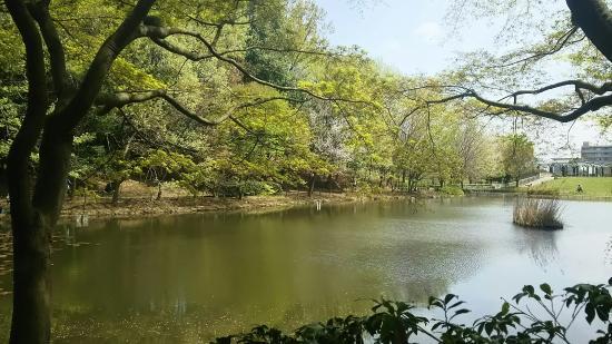 Tsuzuki Central Park