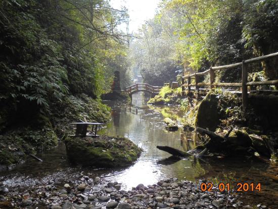 Back Peak of Qingcheng Mountain