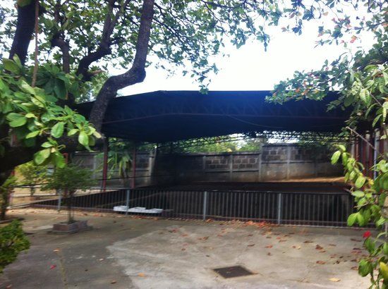 Museo Sitio Huellas de Acahualinca