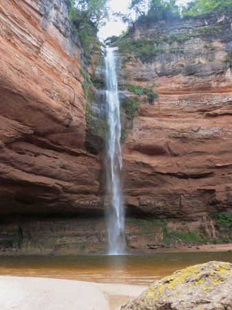 Jardin de las Delicias