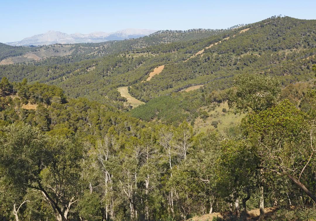 Montes de Malaga Natural Park