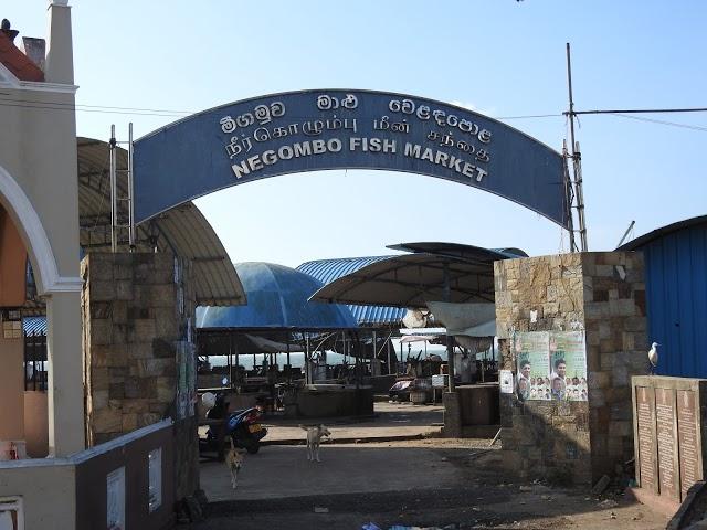Negombo Fish Market Complex