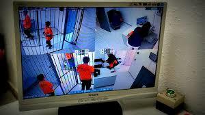 Fox in a Box Gran Canaria