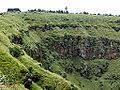 Menengai Forest