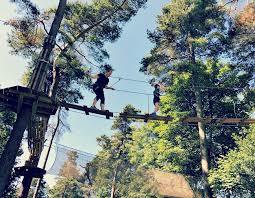 Go Ape at Wendover Woods
