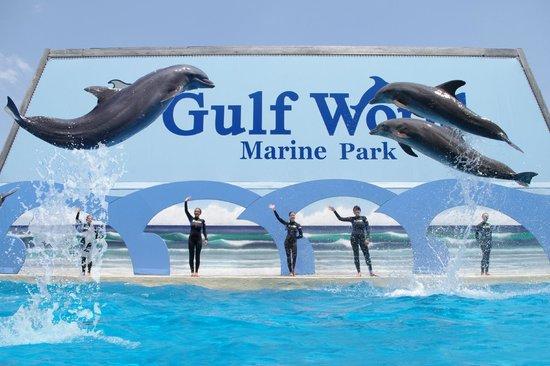 Gulf World Marine Park