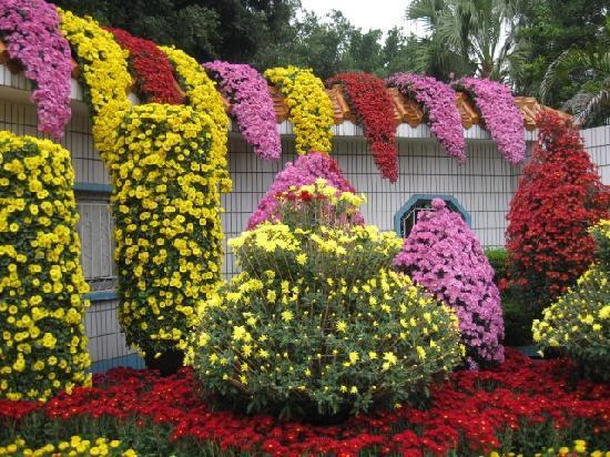 East Lake Park of Shenzhen