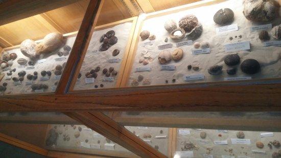 Port Aransas Museum & Farleys Historic Boat Shop