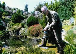 Stichting Vrienden van Rotstuin Ber Slangen