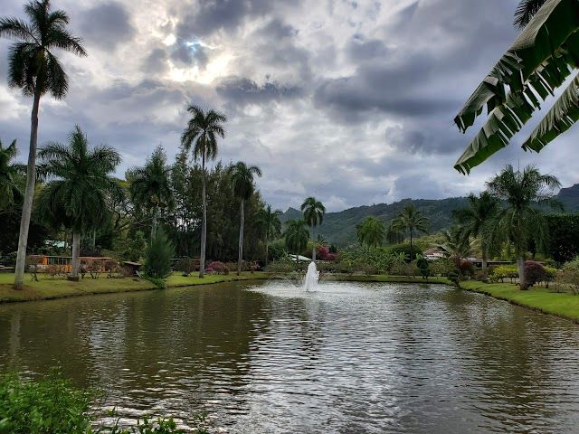 Smith Family Garden Luau
