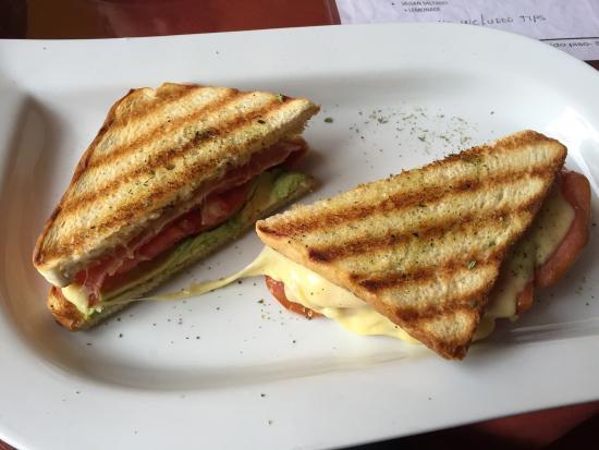 Blue Alpaca Restaurant