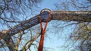 Treetop Walkway