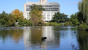 Campus Pond