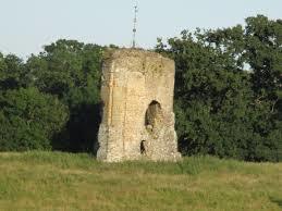 Knepp Castle Estate