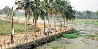 Kadambrayar