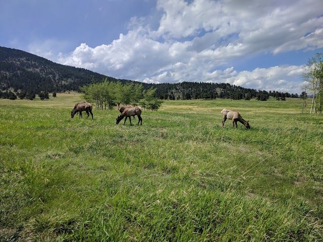 Elk Meadow Park