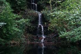 Tillingbourne Waterfall