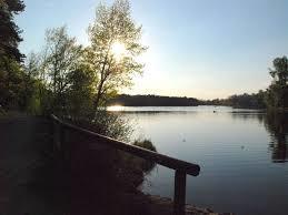 Auwaldsee