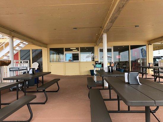 Sun Dog on the Beach