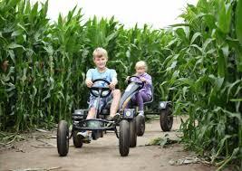 Southwold Maize Maze