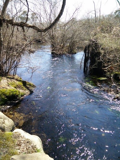Connetquot River State Park Preserve