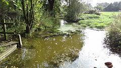 Cranham Marsh Nature Reserve
