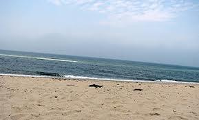 Head of the Meadow Beach