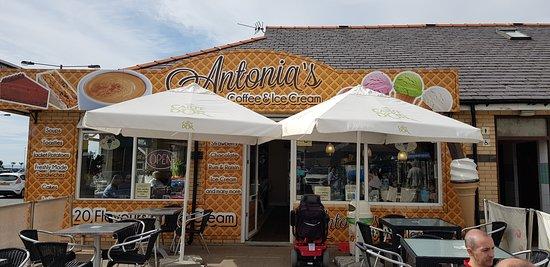 Antonia's