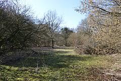 Rushy Mead Nature Reserve