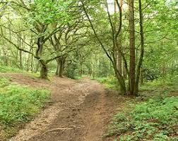 Kingsford Country Park