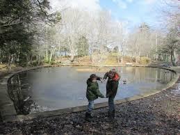 The Heart-shaped Pond