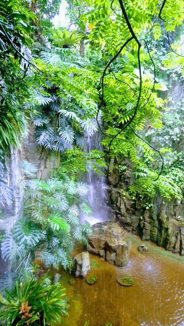 National Museum of Natural Science