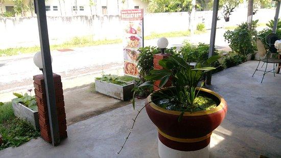 Cashew Nuts Food