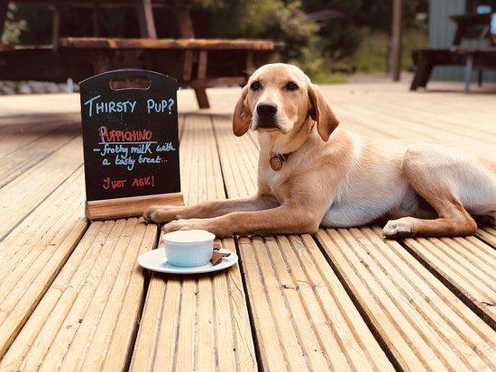 The Clubhouse Cafe
