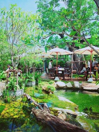 Foreste Cafe By ANNA NAVA