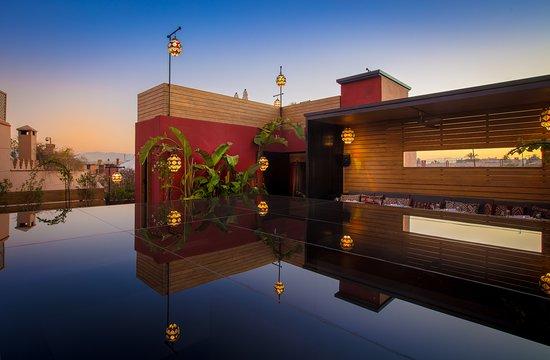 Terrasses Des Arts