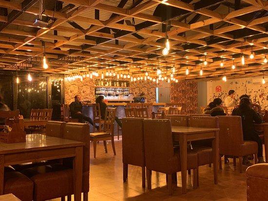 The Prankster Monkey