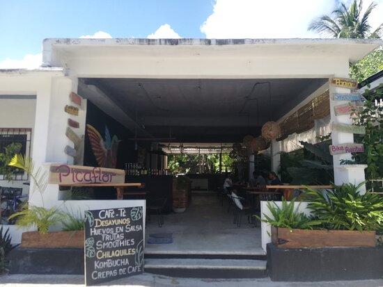 Picaflor Bacalar