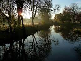 Lloyd Park