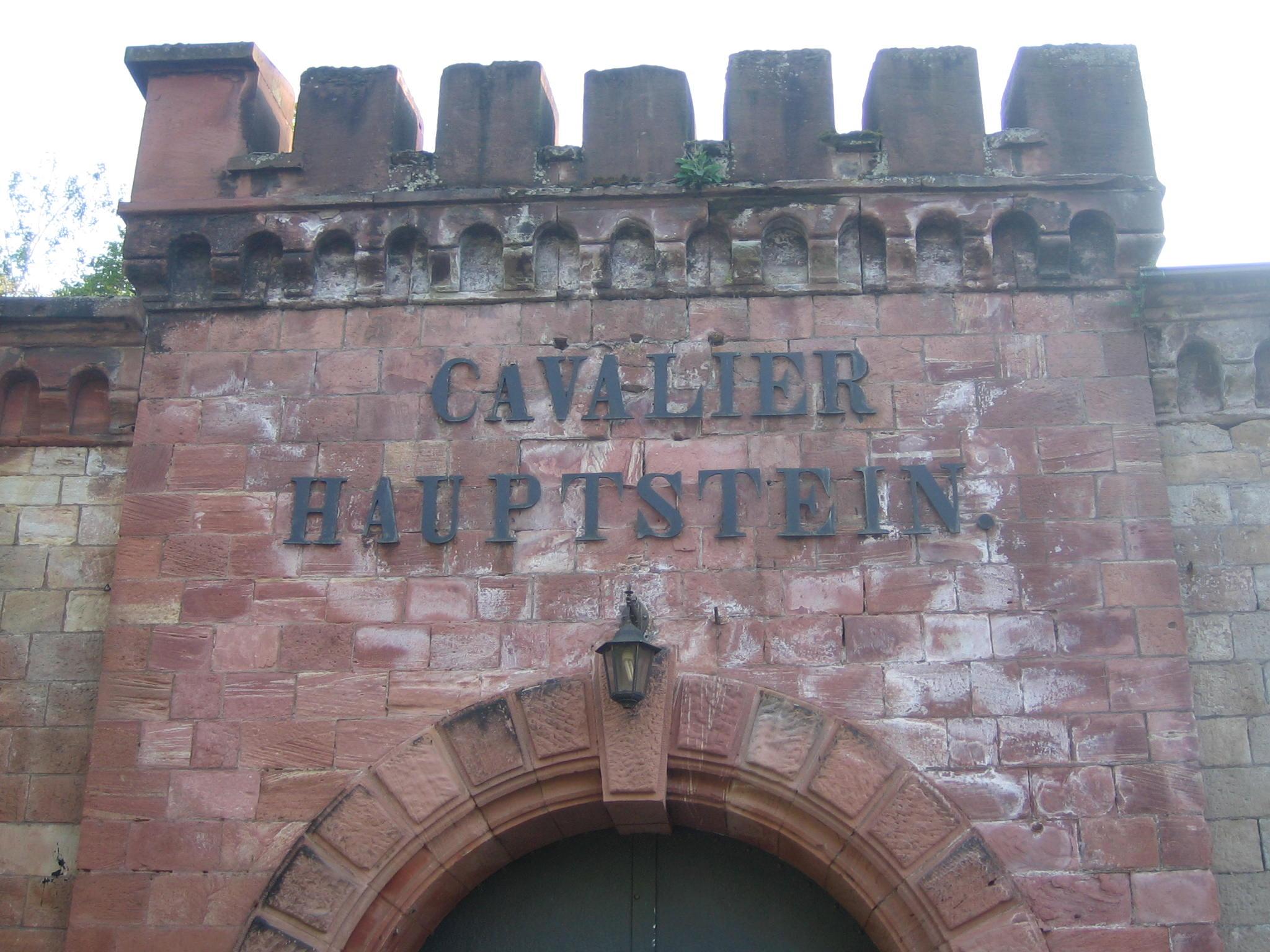 Hauptstein Cavalier