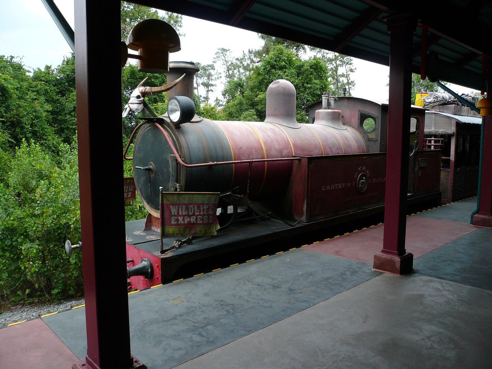 Wildlife Express Train